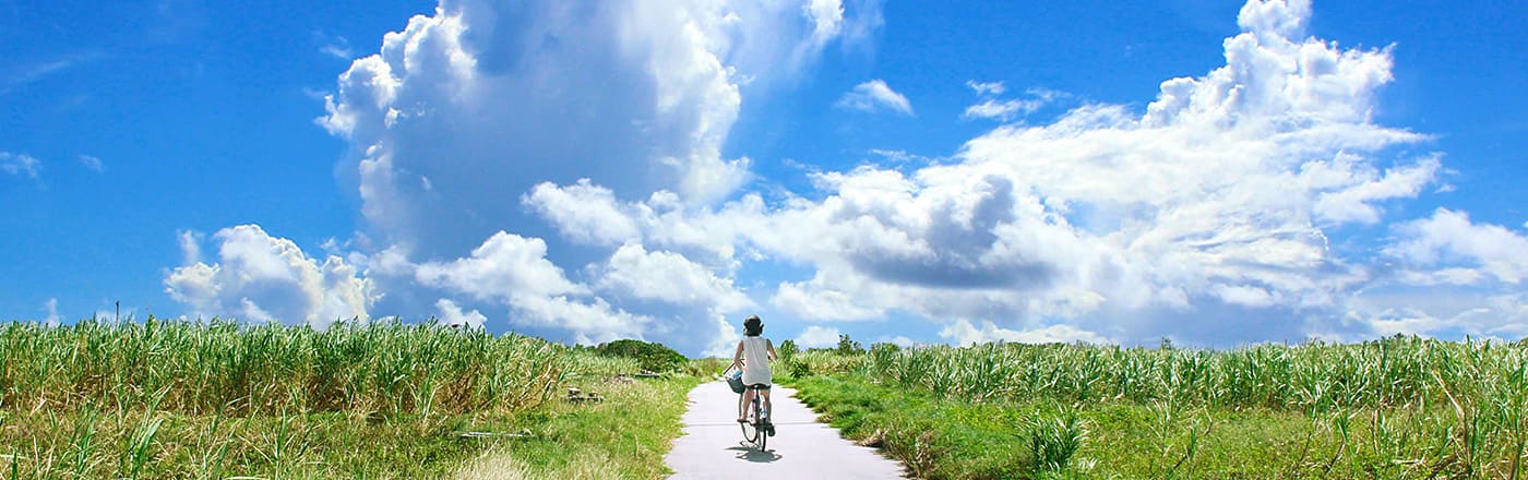 せどらーF書店│買取サイトサンプル